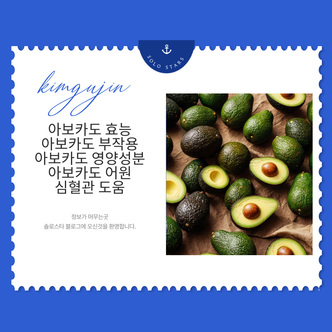 아보카도 사진