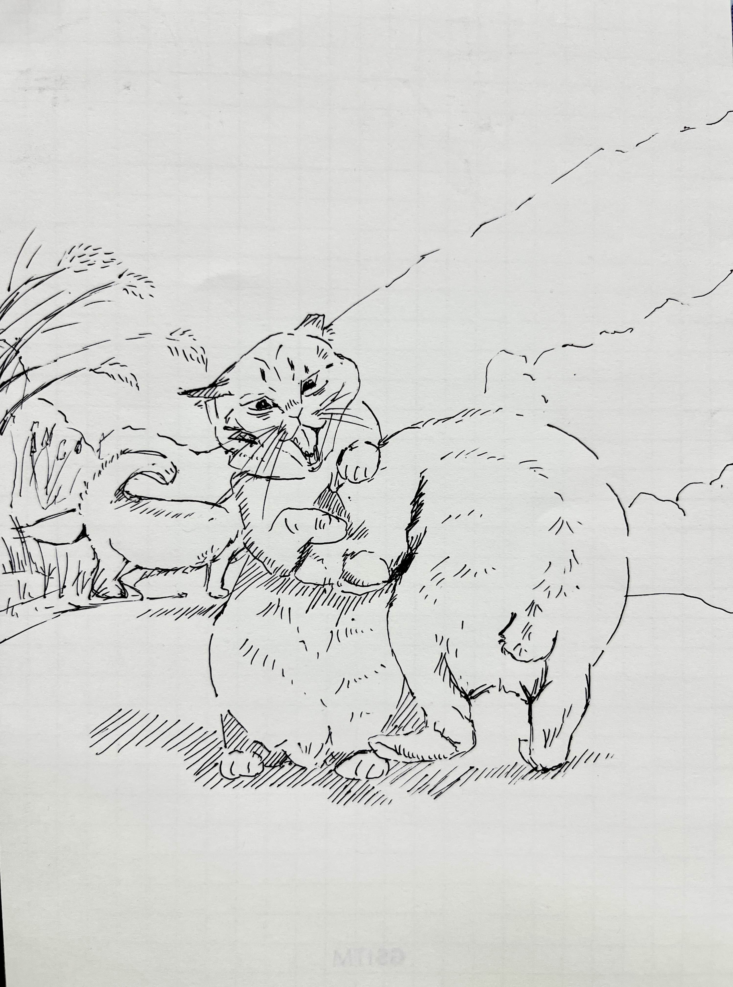  [취미생활 : 그림] 오늘도 싸운다 (고양이 그림 : 펜그림)