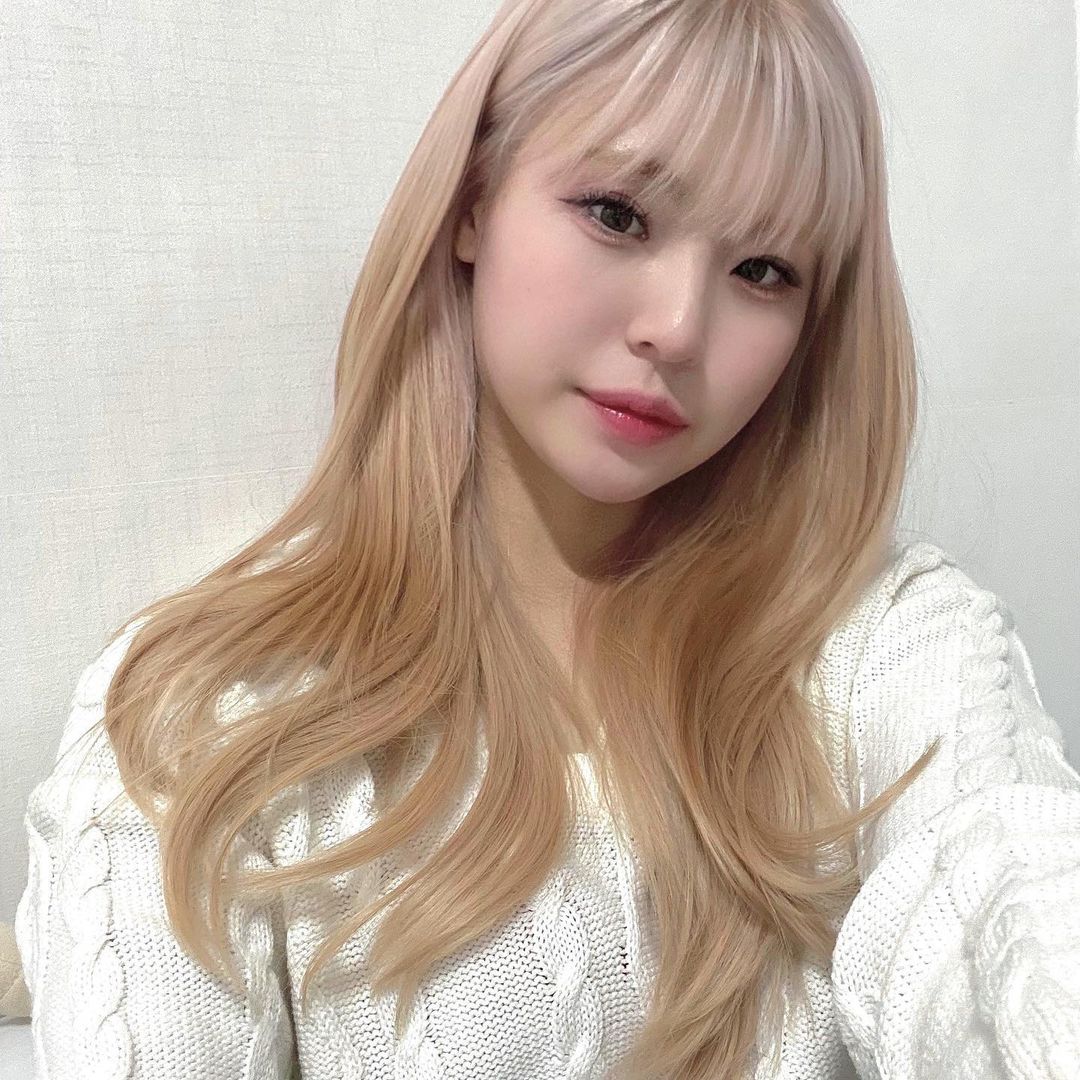 치어리더 안혜지 프로필 :: Star Profile