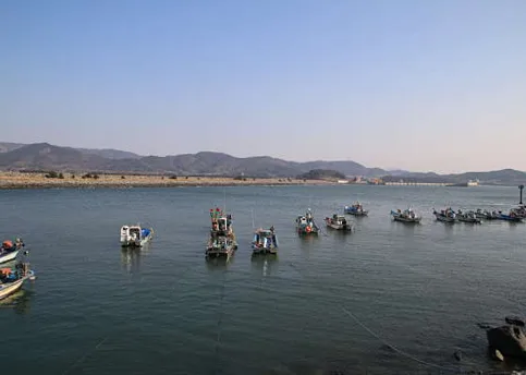 죽도