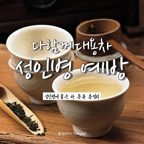  성인병과 암 질환 예방에 도움이 되는 차 총정리 (feat. 보이차의 효능)