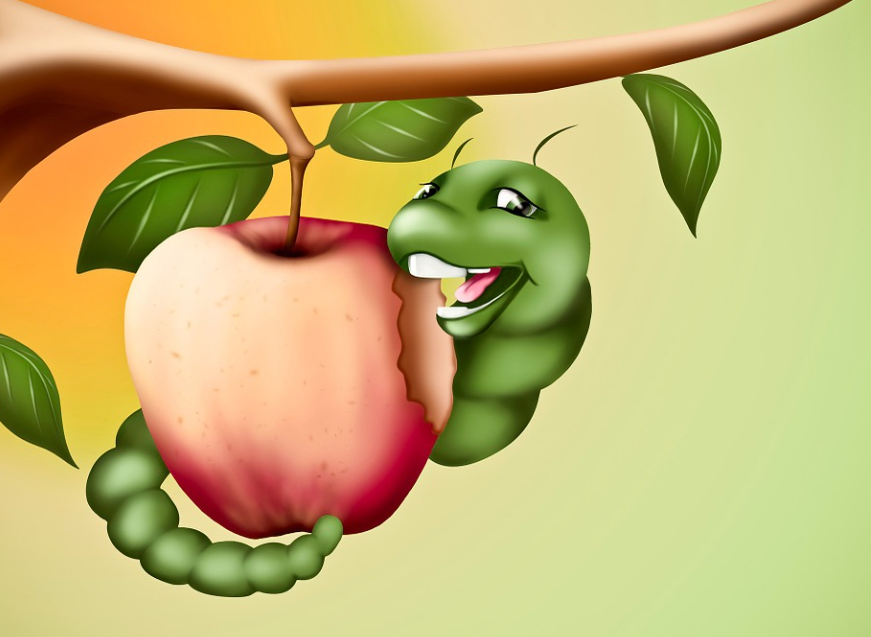 애벌레가_사과를_먹고있는_사진
