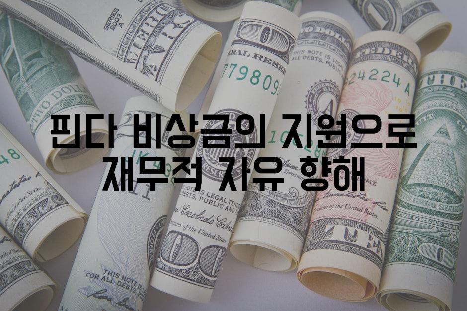 핀다 비상금의 지원으로 재무적 자유 향해