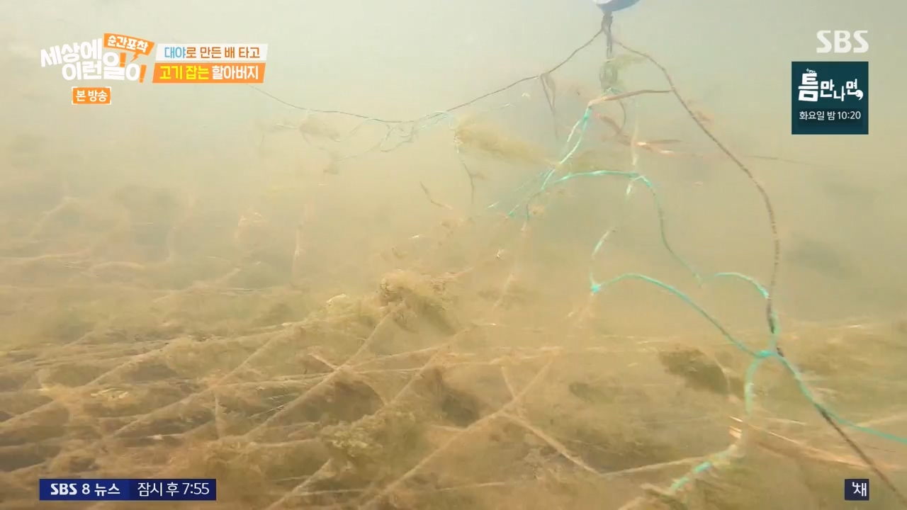 순간포착 세상에 이런일이.E1276.240505p-NEXT.mp4_20240505_151205.829.jpg