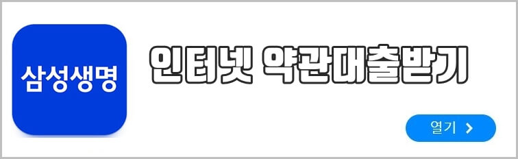 인터넷 약관대출받기