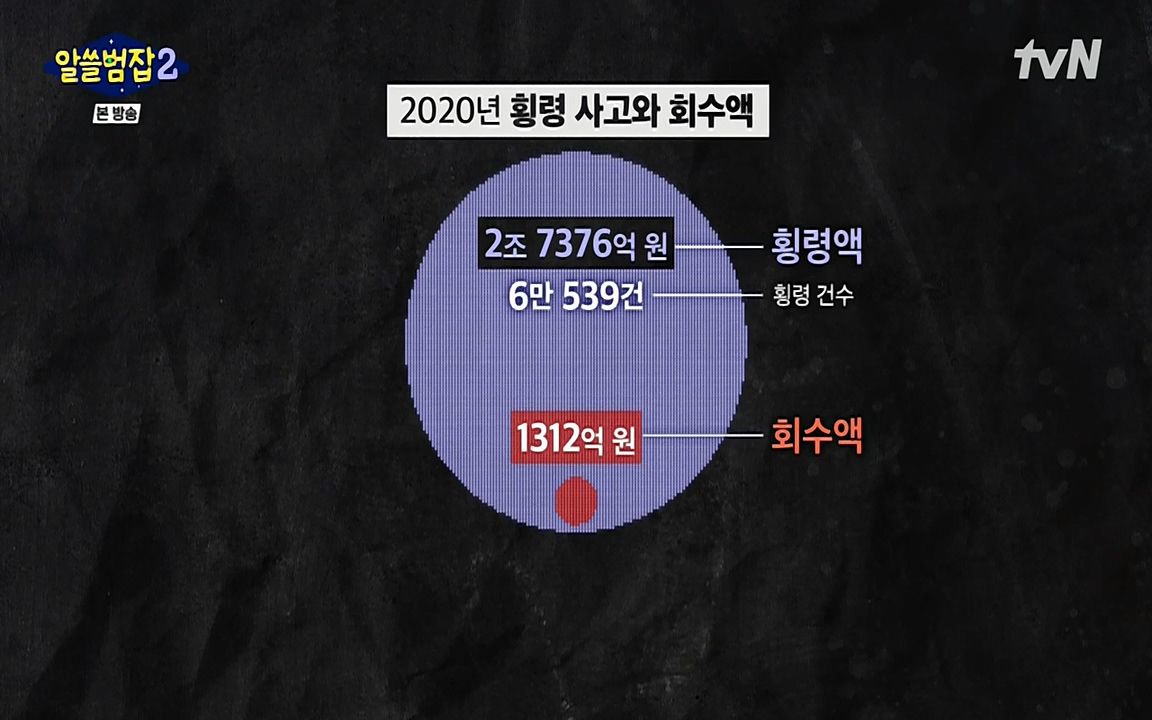 알쓸범잡 2.E13.220411p-NEXT.mp4_20220412_200237.735.jpg