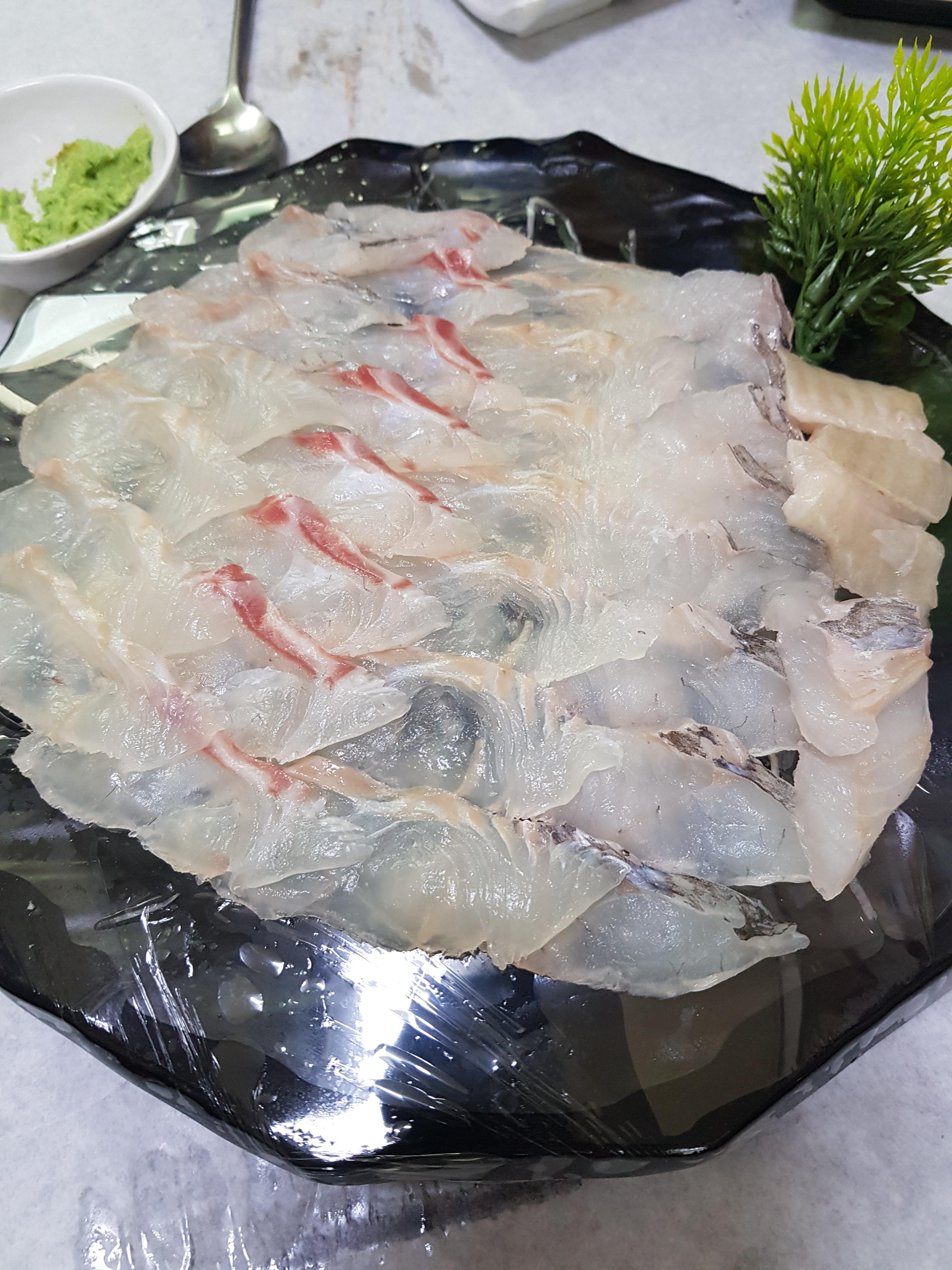 광어9900 이미지