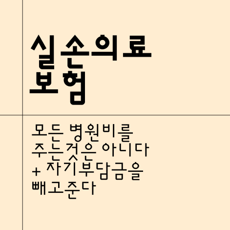 [실손의료보험 개편] 급여 비급여 자기부담금의 의미부터 살펴보자! 개편내용 절약정리
