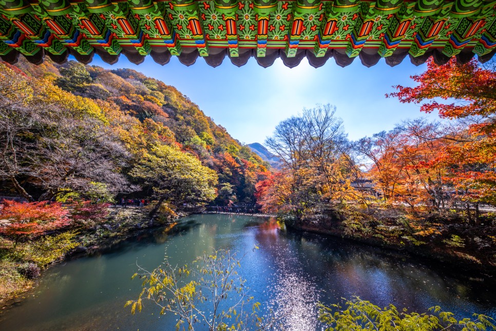 명소 - 장성백양사쌍계루전라도 가을단풍여행 9