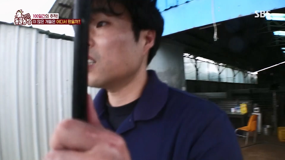 TV 동물농장.E1129.230716p.H264-F1RST.mp4_20230716_183641.890.jpg