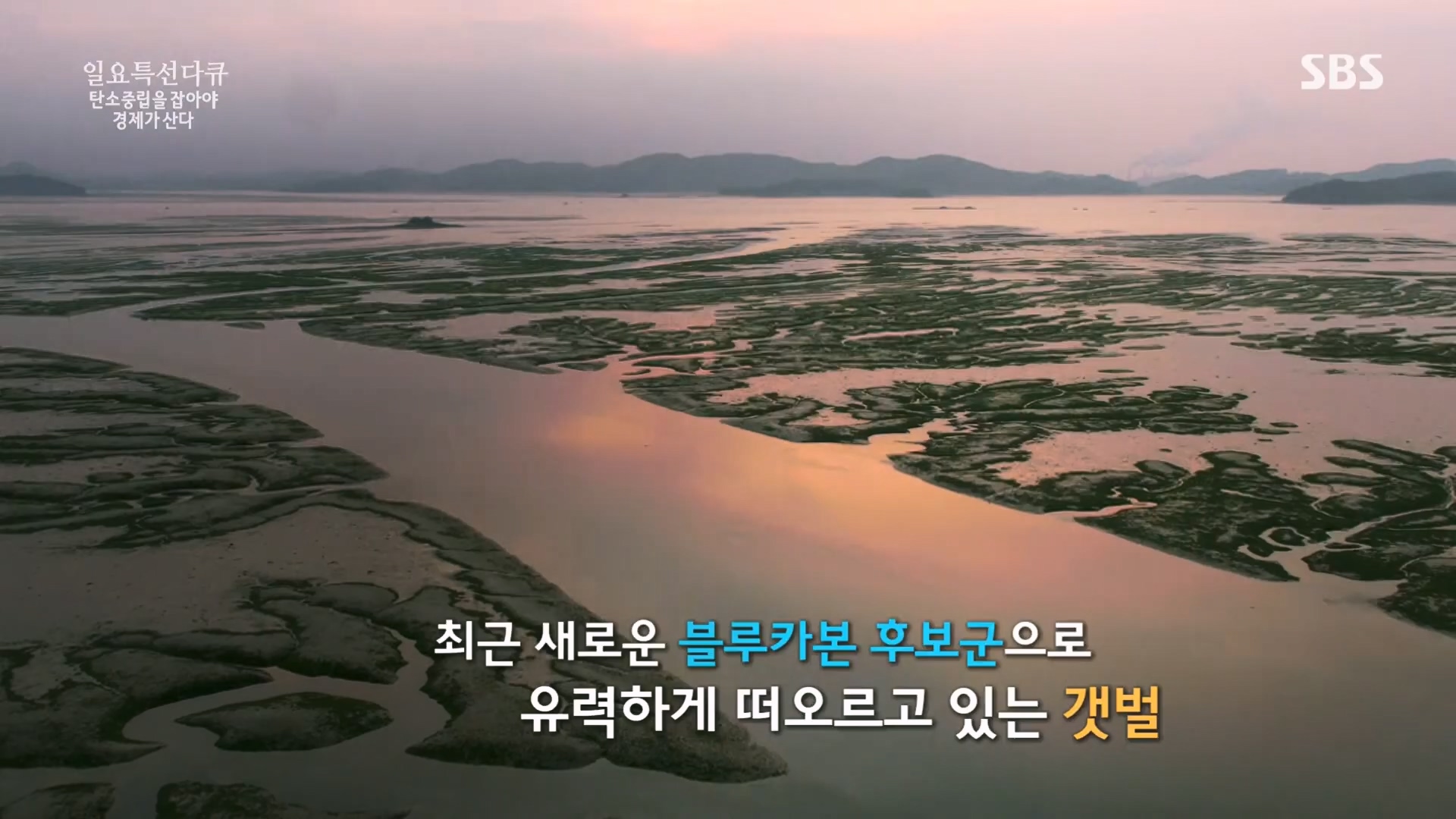 일요 특선 다큐멘터리.E320.230917p.H264-F1RST.mp4_20230925_203216.696.jpg