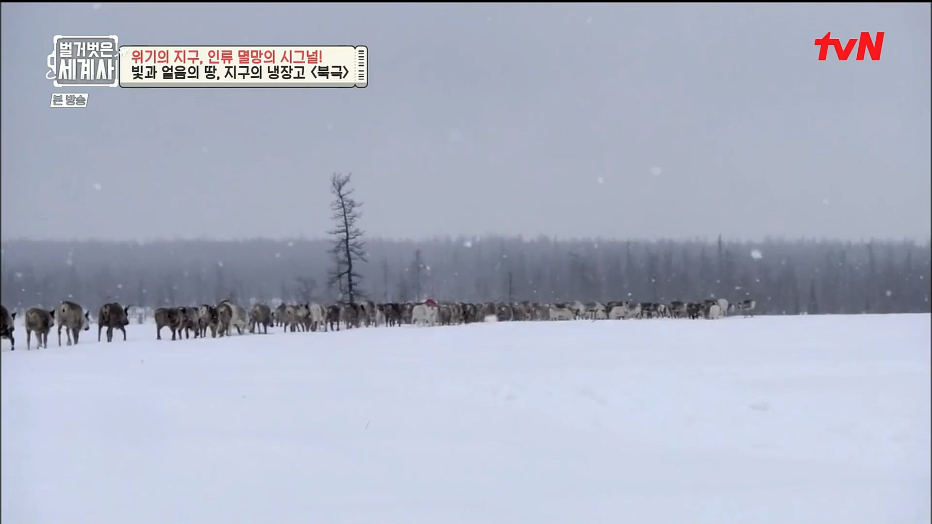 벌거벗은 세계사.E75.221129p.H264-F1RST.mp4_20221211_170947.981.jpg