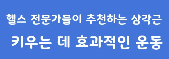 헬스 전문가들이 추천하는 삼각근 키우는 데 효과적인 운동