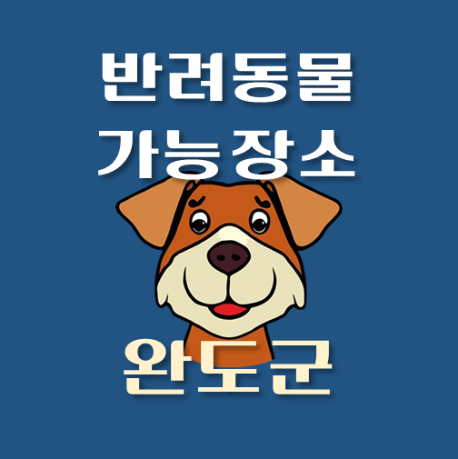 썸네일-완도군-반려동물-출입가능-장소