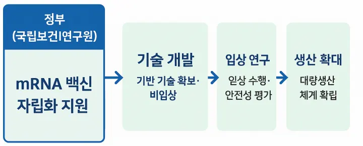 mRNA 백신 자립화 지원 체계 흐름도