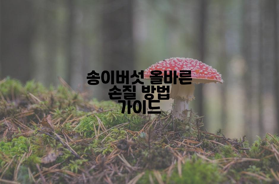 송이버섯 올바른 손질 방법 가이드