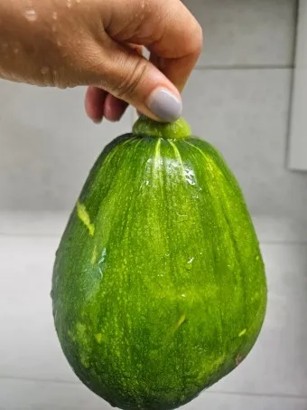 호박 효능_23