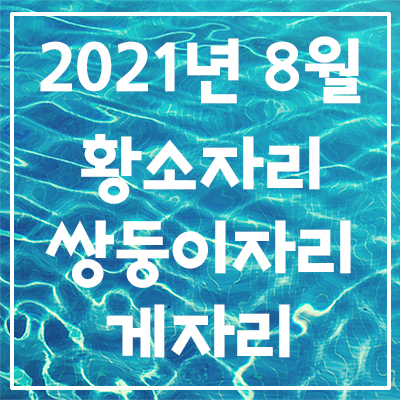  (황소자리, 쌍둥이자리, 게자리) 2021년 8월 은하별의 별자리 운세