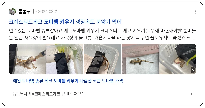 도마뱀 키우기_2_subsection