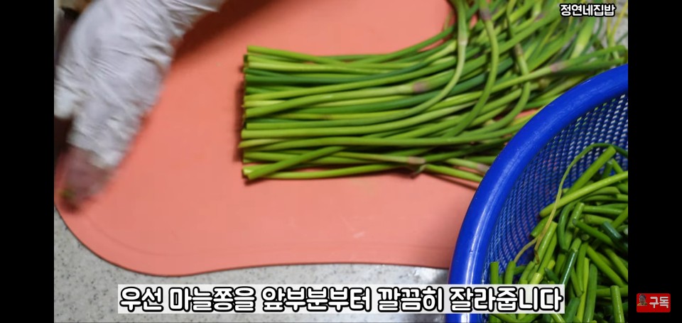 아무도 모르는 마늘쫑장아찌 맛있게 담그는법 공개!! 아무도 모르는 마늘쫑장아찌 맛있게 담그는법 공개!!