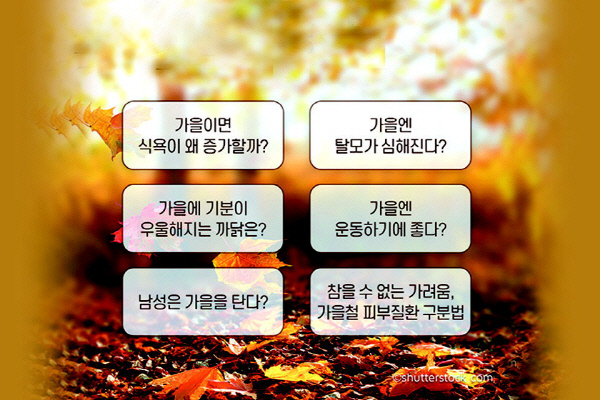  가을 환절기 건강 지키기: 주의사항과 영양 가득한 음식 선택법