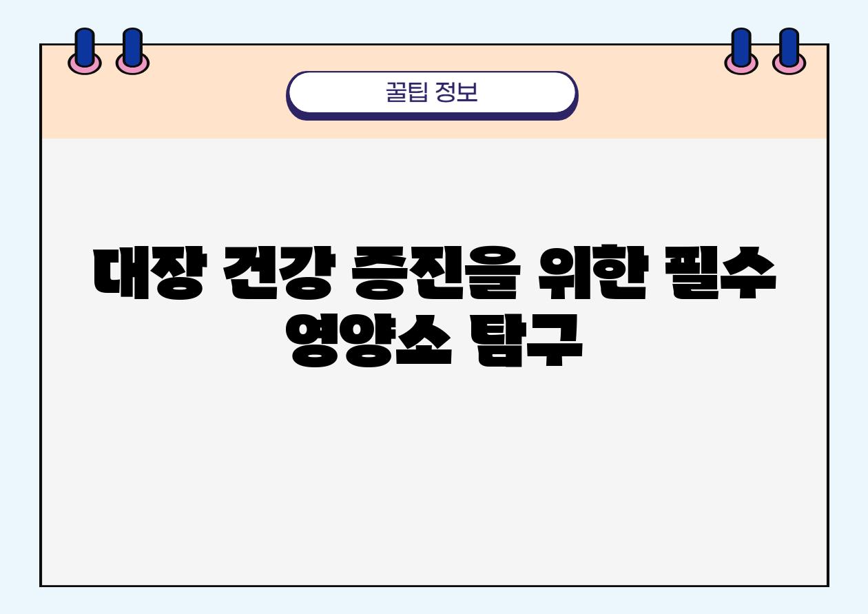 대장 건강 증진을 위한 필수 영양소 비교