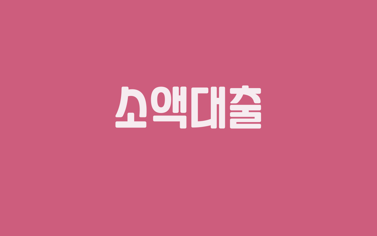  소액대출