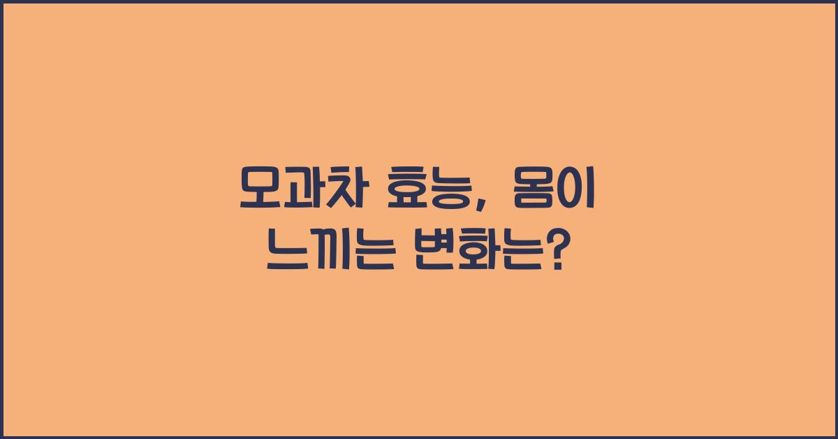 모과차 효능