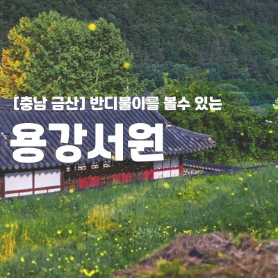  [충남 금산] 반딧불이를 볼수 있는 "용강서원"