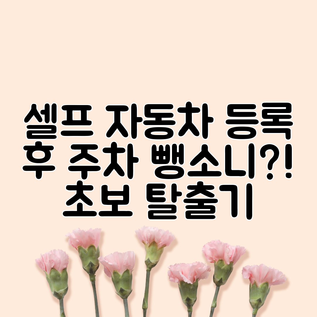 셀프 자동차 등록 후 주차 뺑소니! 초보 탈출기