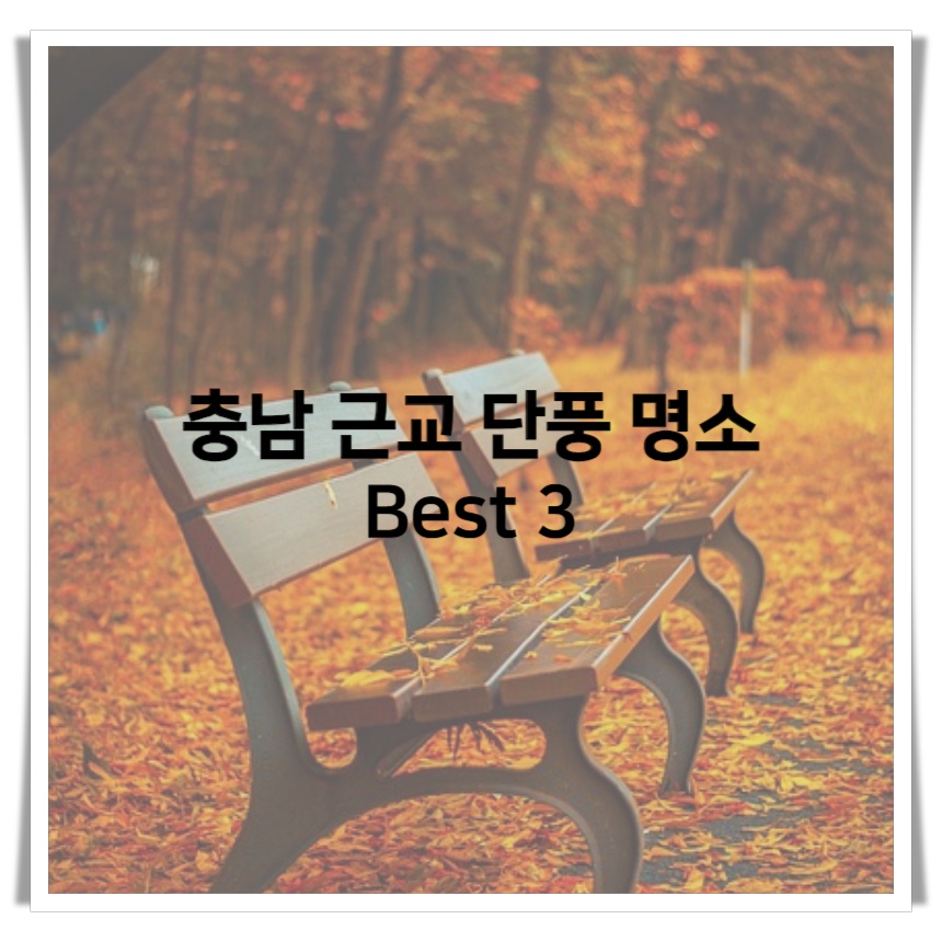  충남 근교 단풍 명소 Best 3