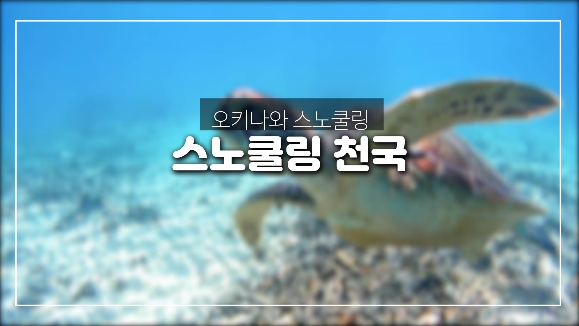  일본 오키나와 스노쿨링 천국-오키나와 근교 ,게리마섬(제도),도카시키섬,자마미섬등