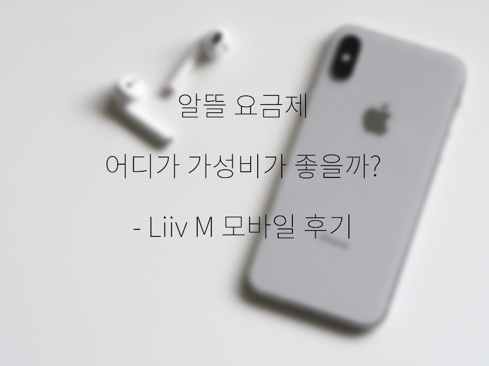  리브 엠(Liiv M) 모바일 알뜰폰 요금제 (feat. 친구결합 할인?)