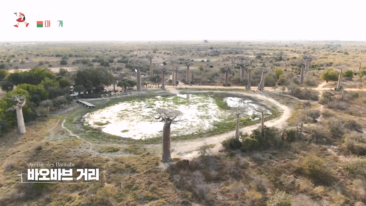 걸어서 세계속으로.E814.231022p-NEXT.mp4_20231022_165103.286.jpg