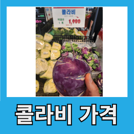 콜라비 가격