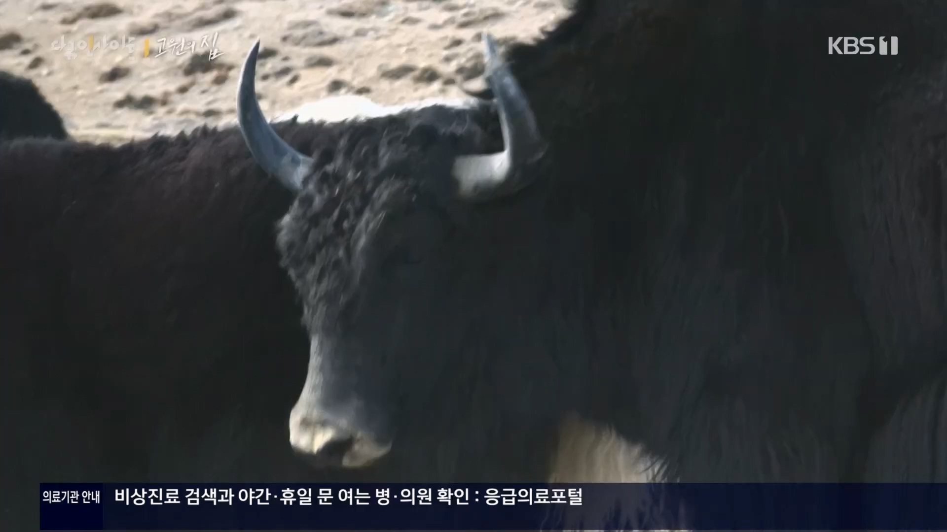 다큐 인사이트.E176.240328p.H264-F1RST.mp4_20240330_162900.106.jpg
