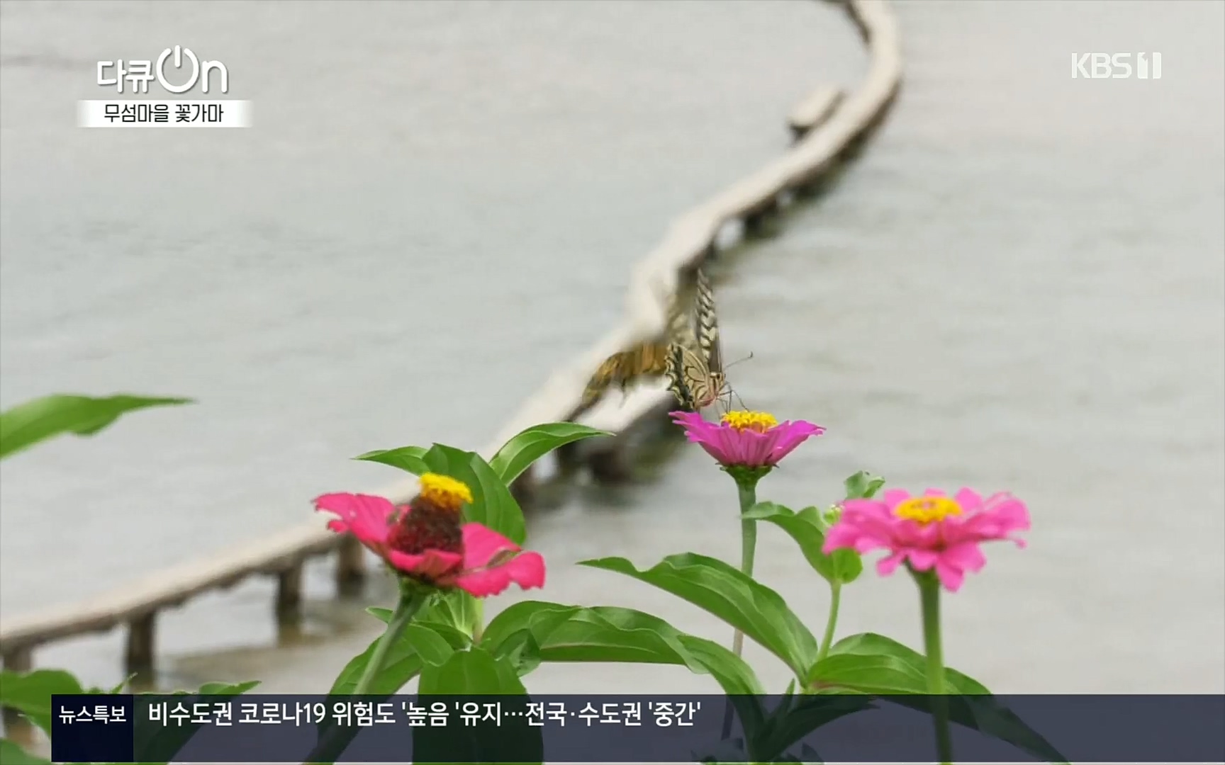 다큐 On.E156.220909p.H264-F1RST.mp4_20220910_190855.849.jpg