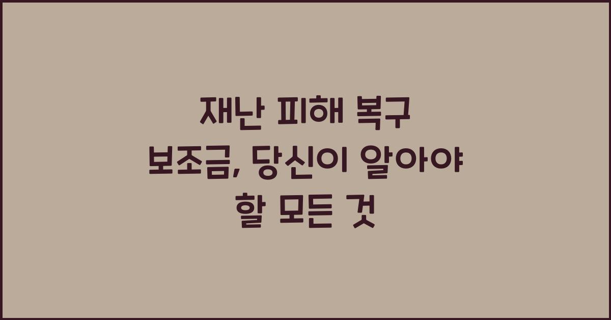 재난 피해 복구 보조금