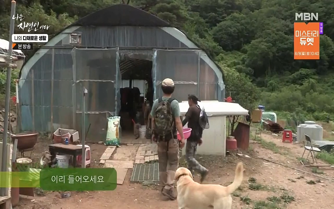 나는 자연인이다.E513.220804p-NEXT.mp4_20220804_201952.241.jpg