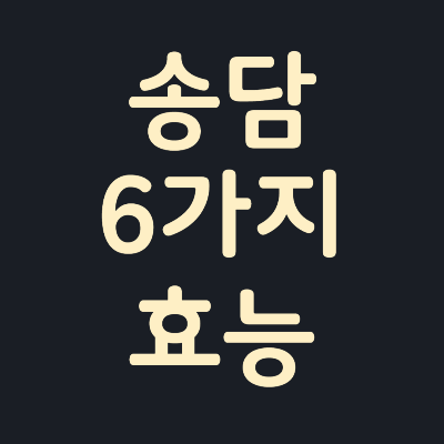 송담-6가지-효능