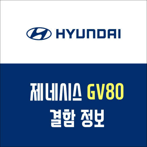  제네시스 GV80 결함 모음