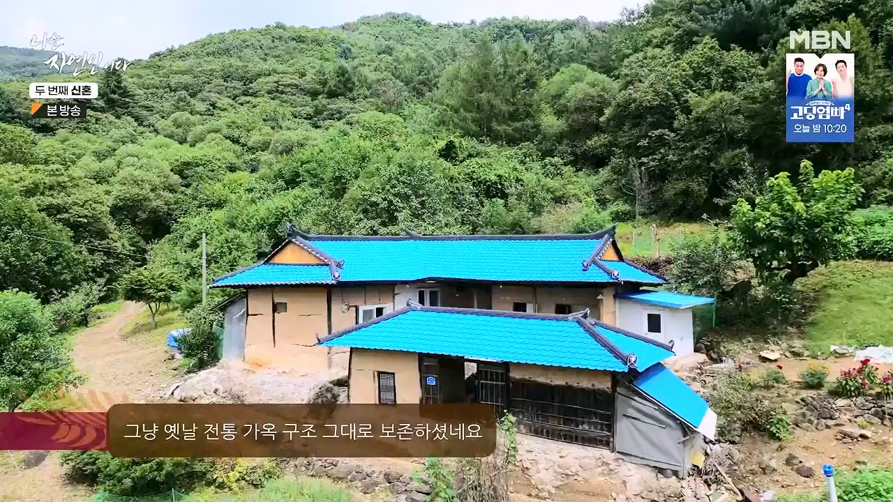 나는 자연인이다.E572.230921p-NEXT.mp4_20230921_202630.280.jpg