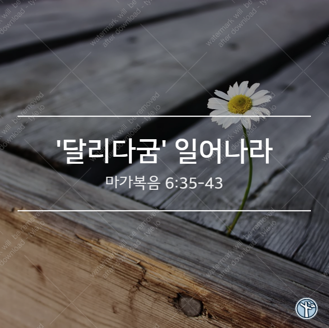  '달리다굼' 일어나라