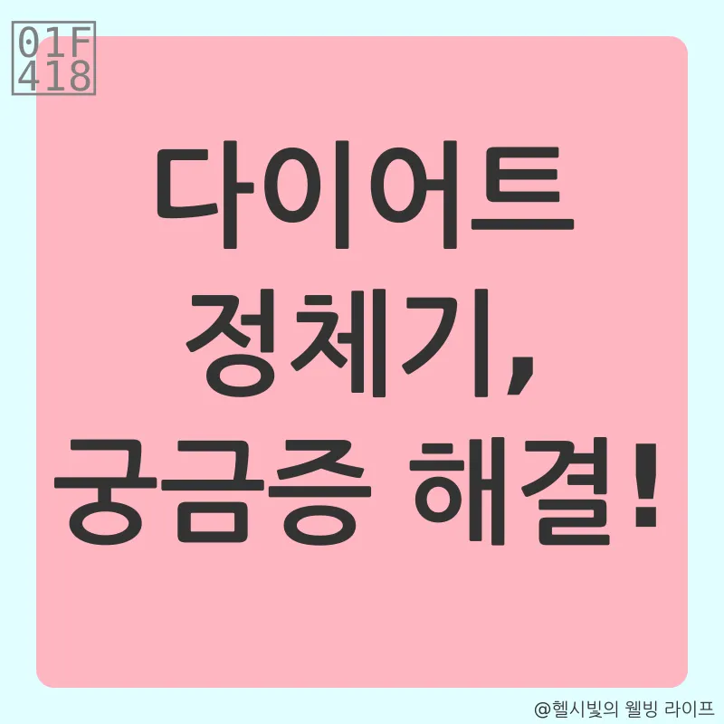 다이어트 정체기 극복_4