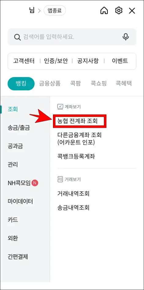 조회 메뉴 중 '농협 전계좌 조회'를 선택