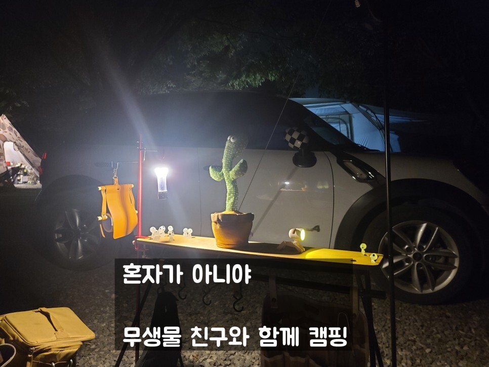  솔로캠핑이지만 친구들과 함께 캠핑을? | 무생물 친구들과 하는 캠핑 | 고추장찌개, 가지 밥으로 배부르게 먹자 | 포천 꿈에 그린 캠핑장