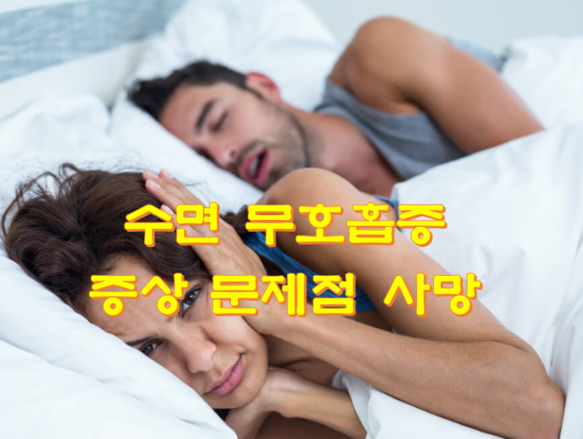  수면 무호흡증 증상 문제점 사망