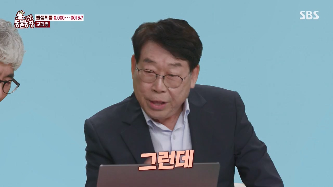 TV 동물농장.E1175.240610p-NEXT.mp4_20240609_160238.609.jpg