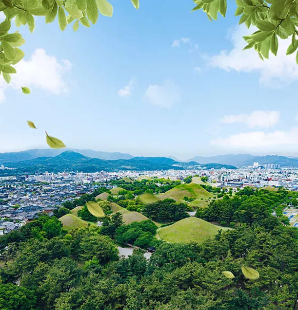 경주대릉원