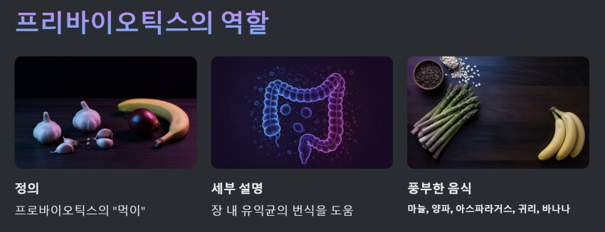 프리바이오틱스의 역할 ppt 이미지